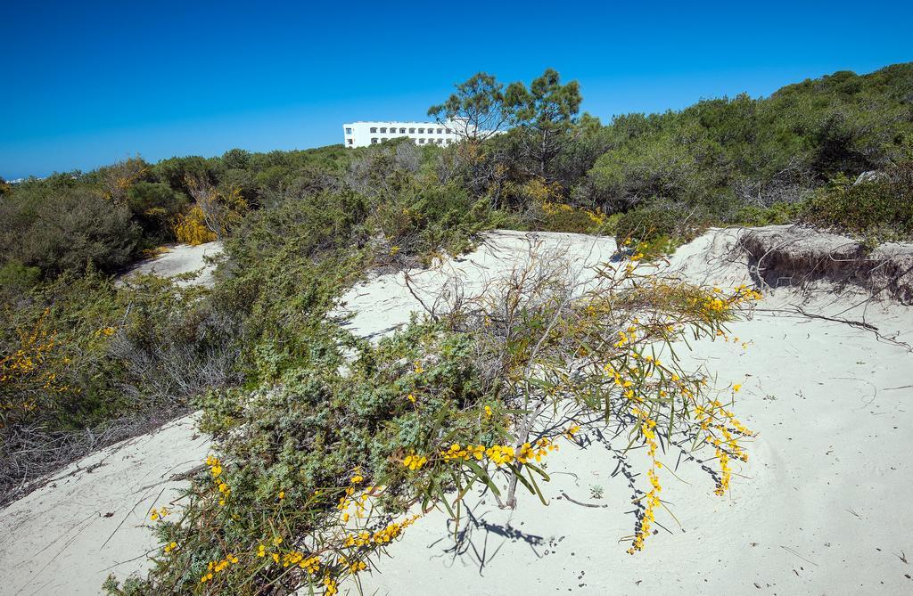 Ecoresort Le Sirene - Caroli Hotels Gallipoli Ngoại thất bức ảnh